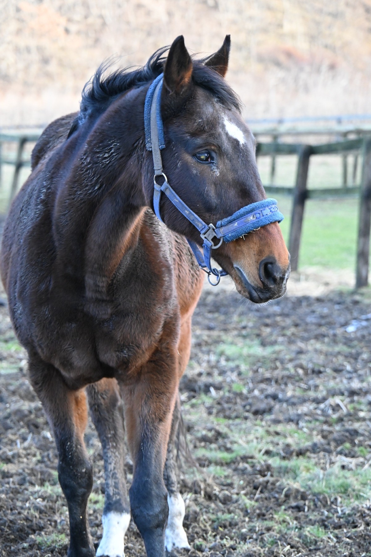 2caa614629d6ee49973ef54230807ee9-1765826698.jpg 2caa614629d6ee49973ef54230807ee9-1765826698.jpg